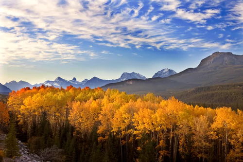 加拿大十大国家公园有哪些